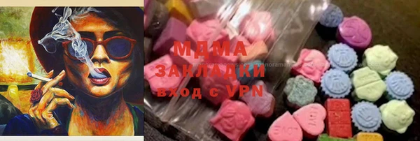 хмурый Арсеньев