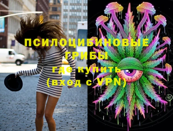 PSILOCYBIN Алексеевка