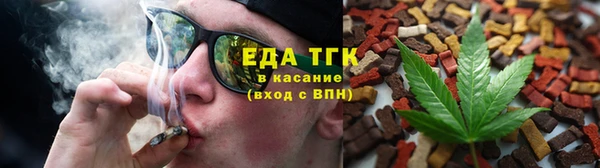 хмурый Арсеньев