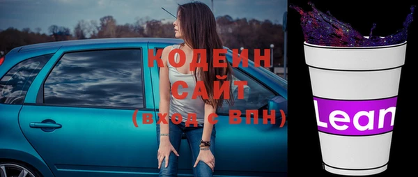 хмурый Арсеньев