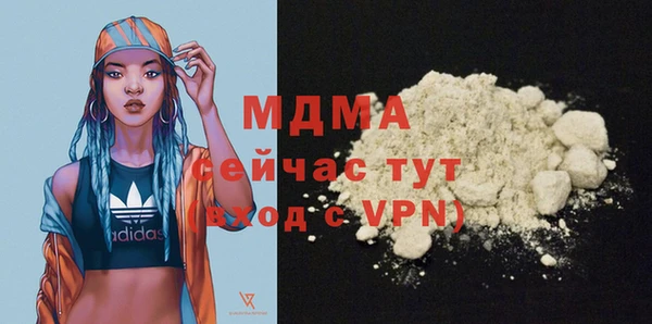 хмурый Арсеньев