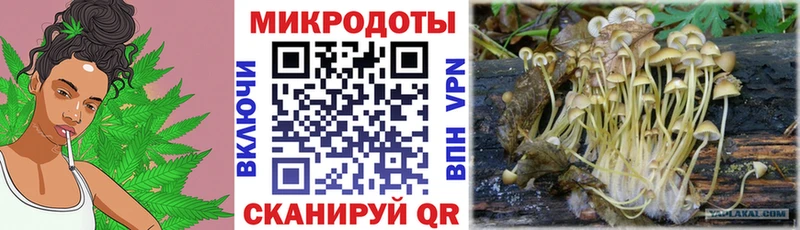 Галлюциногенные грибы Magic Shrooms  дарнет шоп  Ленинск 